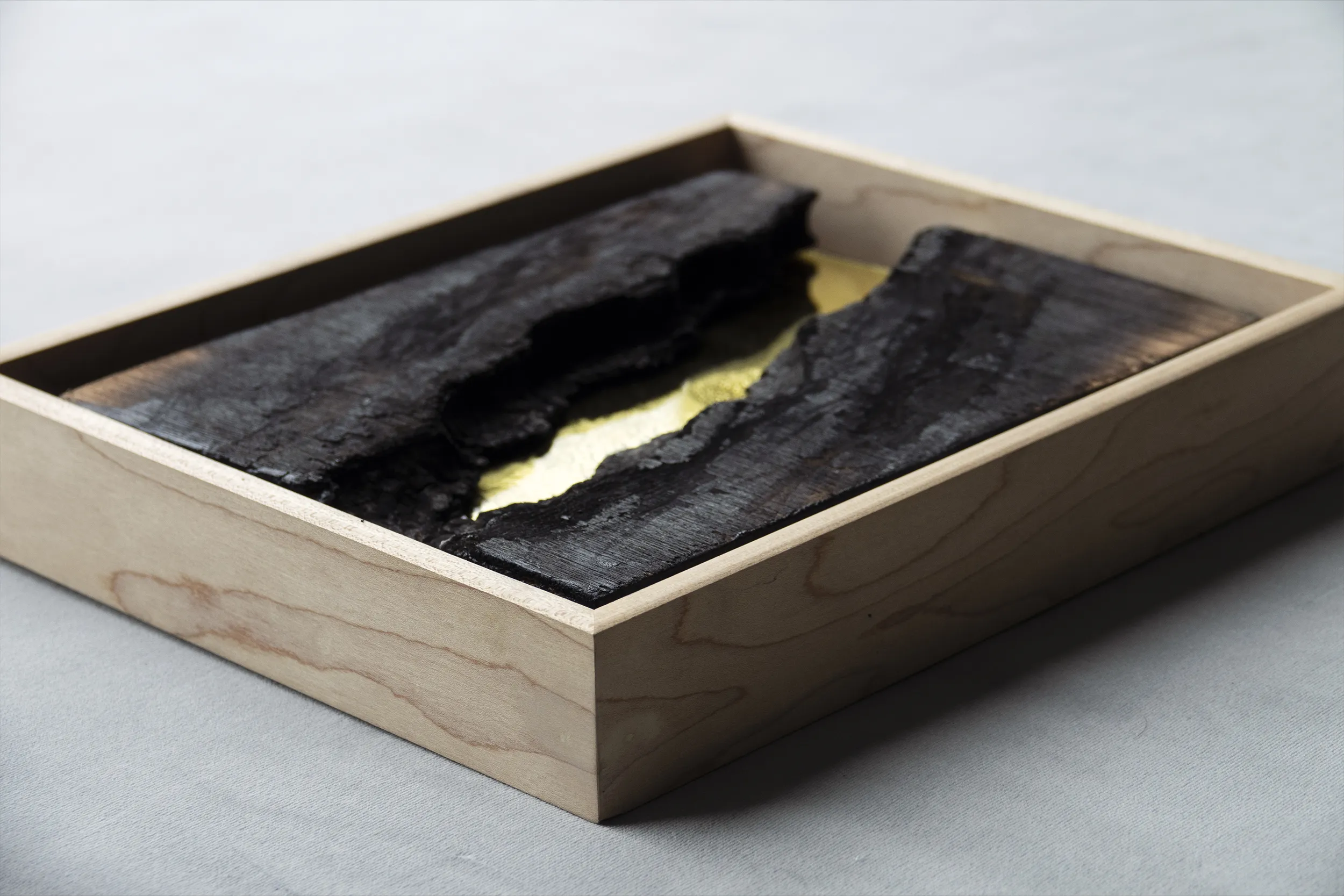 A detailed close up view of Delamination by artist Damian Boylan. The painting from the Fire Paintings series shows surface details of carbonised wood and poly(methyl methacrylate).